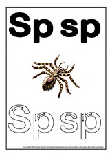 Buchstabenbilder-Sp1.pdf